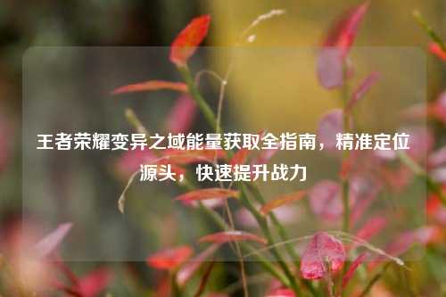 王者荣耀变异之域能量获取全指南，精准定位源头，快速提升战力