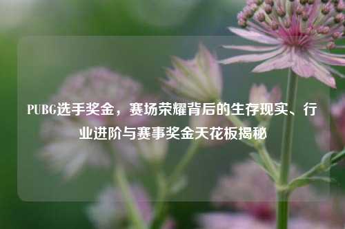 PUBG选手奖金，赛场荣耀背后的生存现实、行业进阶与赛事奖金天花板揭秘