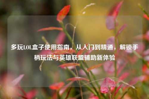 多玩LOL盒子使用指南，从入门到精通，解锁手柄玩法与英雄联盟辅助新体验
