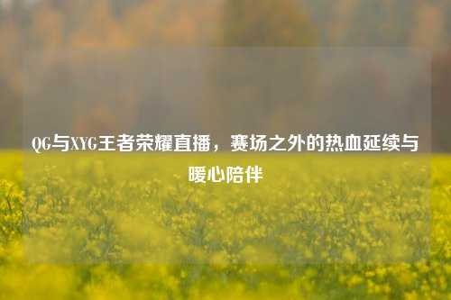 QG与XYG王者荣耀直播，赛场之外的热血延续与暖心陪伴
