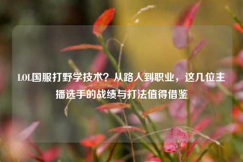 LOL国服打野学技术？从路人到职业，这几位主播选手的战绩与打法值得借鉴