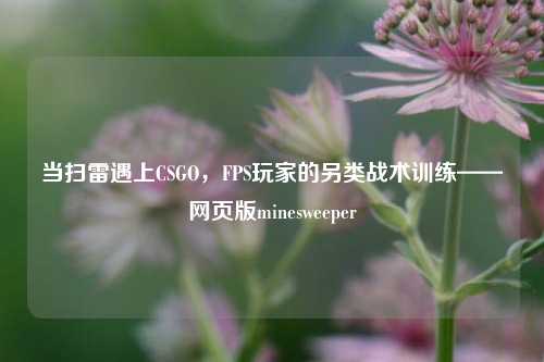 当扫雷遇上CSGO，FPS玩家的另类战术训练——网页版minesweeper