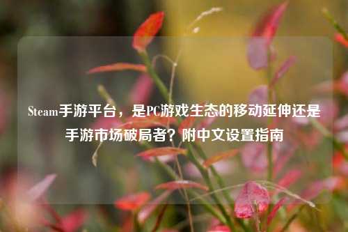 Steam手游平台，是PC游戏生态的移动延伸还是手游市场破局者？附中文设置指南