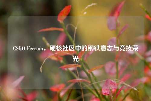 CSGO Ferrum，硬核社区中的钢铁意志与竞技荣光