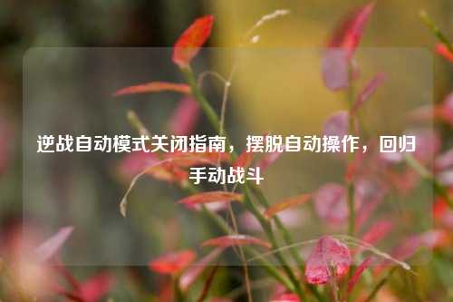 逆战自动模式关闭指南，摆脱自动操作，回归手动战斗