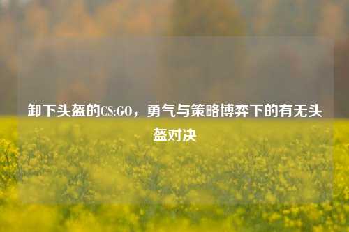 卸下头盔的CS:GO，勇气与策略博弈下的有无头盔对决