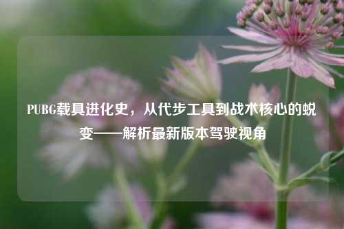 PUBG载具进化史，从代步工具到战术核心的蜕变——解析最新版本驾驶视角