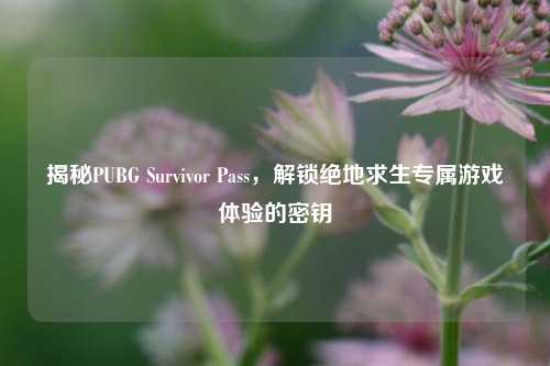 揭秘PUBG Survivor Pass，解锁绝地求生专属游戏体验的密钥
