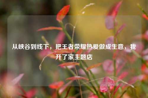 从峡谷到线下，把王者荣耀热爱做成生意，我开了家主题店