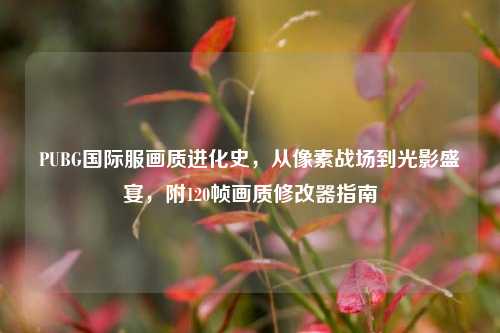 PUBG国际服画质进化史，从像素战场到光影盛宴，附120帧画质修改器指南