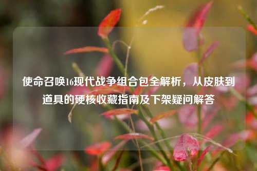 使命召唤16现代战争组合包全解析，从皮肤到道具的硬核收藏指南及下架疑问解答