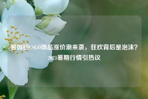 暑假档CSGO饰品涨价潮来袭，狂欢背后是泡沫？2021暑期行情引热议