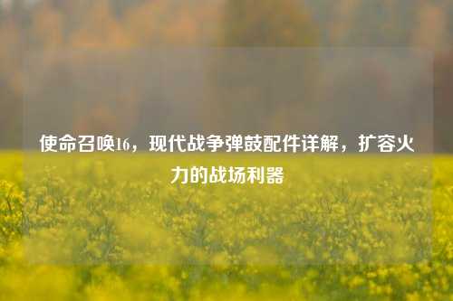 使命召唤16，现代战争弹鼓配件详解，扩容火力的战场利器