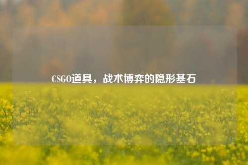 CSGO道具,战术博弈的隐形基石