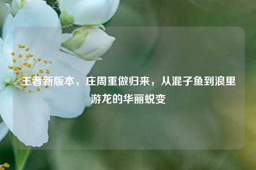 王者新版本，庄周重做归来，从混子鱼到浪里游龙的华丽蜕变