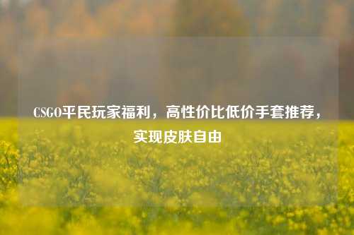 CSGO平民玩家福利，高性价比低价手套推荐，实现皮肤自由
