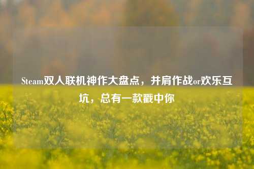 Steam双人联机神作大盘点,并肩作战or欢乐互坑,总有一款戳中你