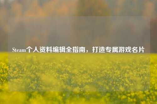 Steam个人资料编辑全指南,打造专属游戏名片