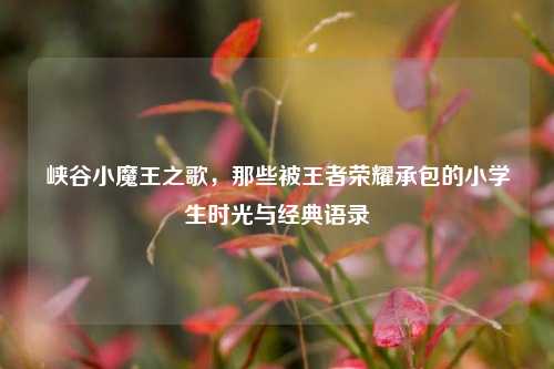 峡谷小魔王之歌，那些被王者荣耀承包的小学生时光与经典语录
