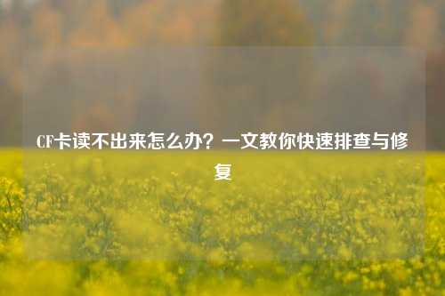CF卡读不出来怎么办？一文教你快速排查与修复