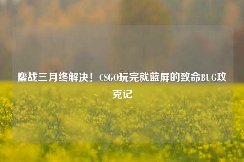 鏖战三月终解决！CSGO玩完就蓝屏的致命BUG攻克记