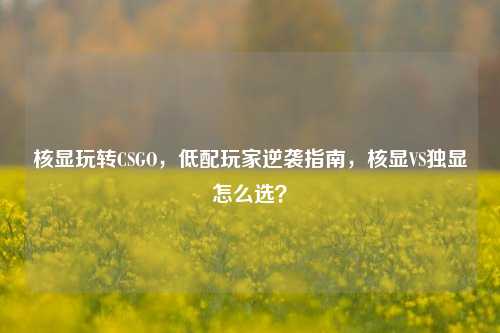 核显玩转CSGO，低配玩家逆袭指南，核显VS独显怎么选？