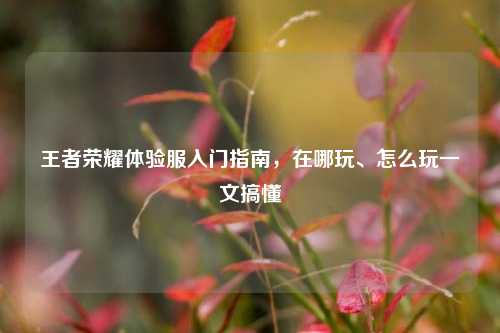 王者荣耀体验服入门指南，在哪玩、怎么玩一文搞懂