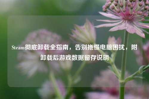 Steam彻底卸载全指南，告别拖慢电脑困扰，附卸载后游戏数据留存说明