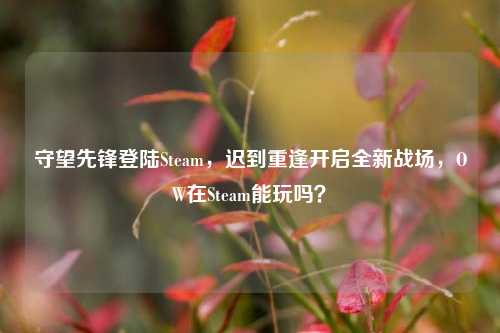 守望先锋登陆Steam，迟到重逢开启全新战场，OW在Steam能玩吗？
