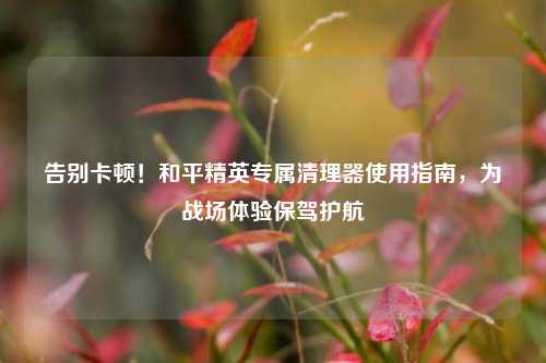 告别卡顿！和平精英专属清理器使用指南，为战场体验保驾护航