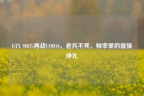 GTX 980Ti再战COD16，老兵不死，帧率里的倔强挣扎