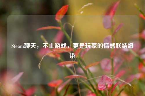 Steam聊天，不止游戏，更是玩家的情感联结纽带