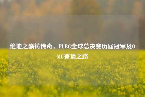 绝地之巅铸传奇，PUBG全球总决赛历届冠军及OMG登顶之路