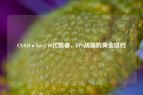 CS:GO×Intel 10代酷睿，FPS战场的黄金搭档