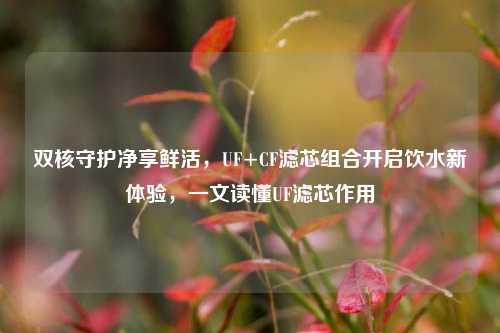 双核守护净享鲜活，UF+CF滤芯组合开启饮水新体验，一文读懂UF滤芯作用
