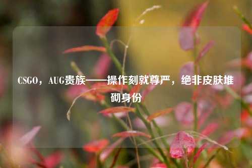 CSGO，AUG贵族——操作刻就尊严，绝非皮肤堆砌身份