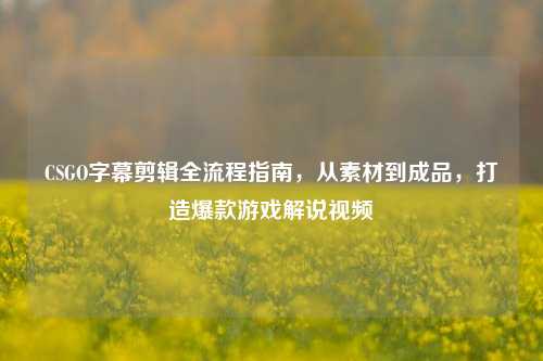 CSGO字幕剪辑全流程指南，从素材到成品，打造爆款游戏解说视频