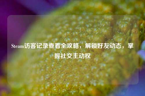 Steam访客记录查看全攻略，解锁好友动态，掌握社交主动权