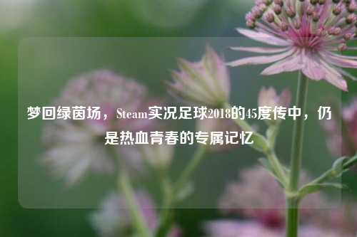 梦回绿茵场，Steam实况足球2018的45度传中，仍是热血青春的专属记忆