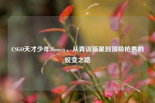 CSGO天才少年Monesy，从青训新星到顶级枪男的蜕变之路