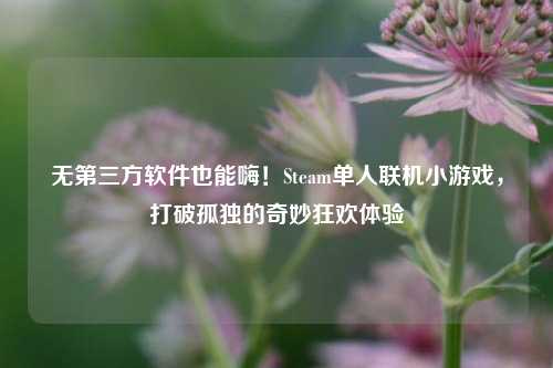无第三方软件也能嗨！Steam单人联机小游戏，打破孤独的奇妙狂欢体验