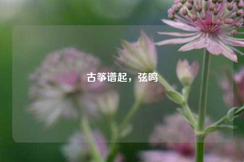 古筝谱起，弦鸣