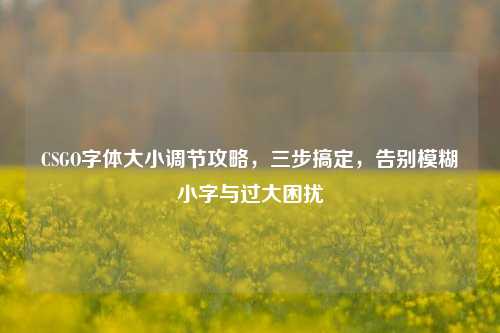 CSGO字体大小调节攻略，三步搞定，告别模糊小字与过大困扰