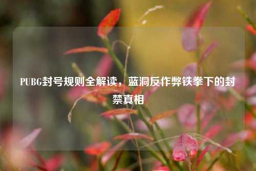 PUBG封号规则全解读，蓝洞反作弊铁拳下的封禁真相