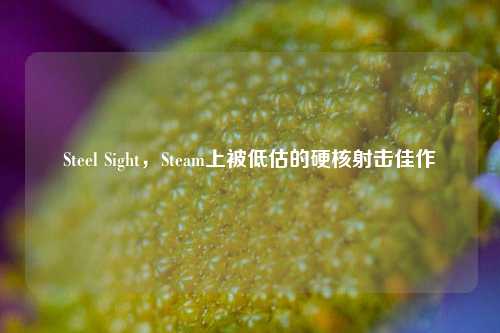 Steel Sight，Steam上被低估的硬核射击佳作