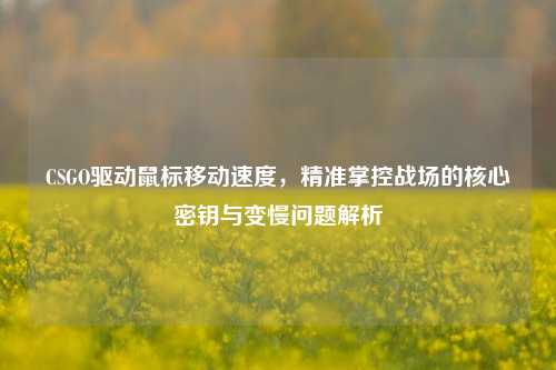 CSGO驱动鼠标移动速度，精准掌控战场的核心密钥与变慢问题解析