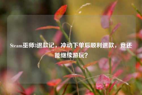 Steam巫师3退款记，冲动下单后顺利退款，竟还能继续游玩？