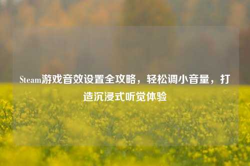 Steam游戏音效设置全攻略，轻松调小音量，打造沉浸式听觉体验