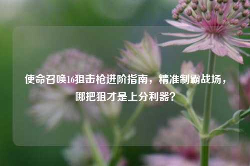 使命召唤16狙击枪进阶指南，精准制霸战场，哪把狙才是上分利器？