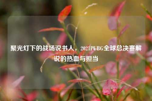 聚光灯下的战场说书人，2021PUBG全球总决赛解说的热血与担当